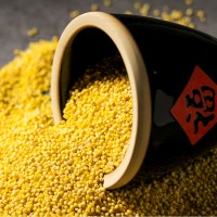 沁州旱地小米 中国四大名小米 晋东南好米 500g